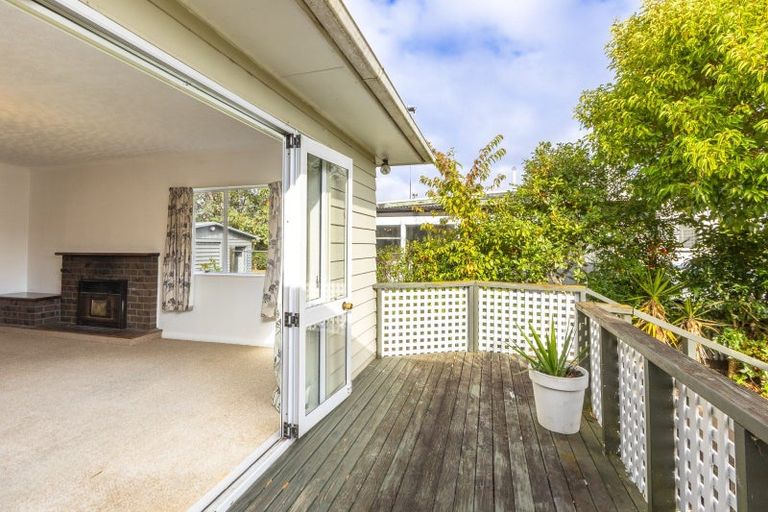 Photo of property in 38 Francis Drake Street, Waipukurau, 4200