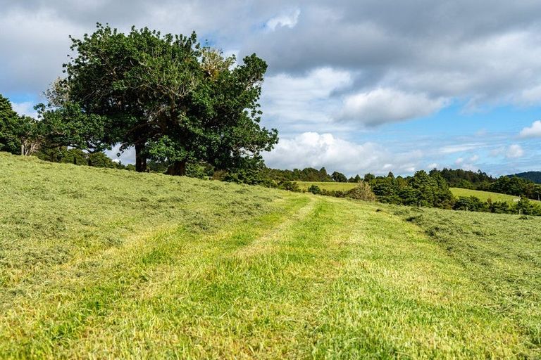 Photo of property in 75 Kohinui Road, Parua Bay, 0192