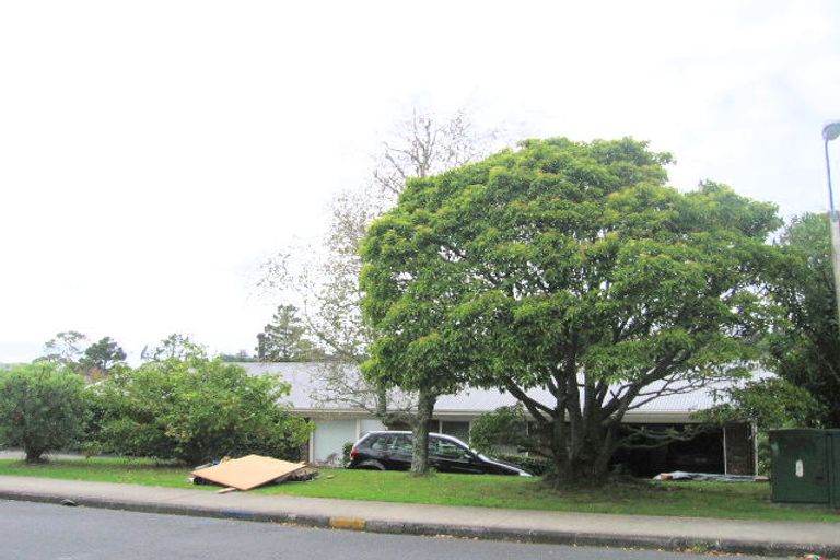 Photo of property in 71 Daffodil Street, Titirangi, Auckland, 0604