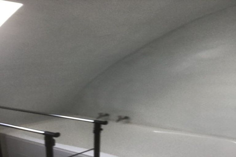 Photo of property in 139 Don Buck Road, Massey, Auckland, 0614