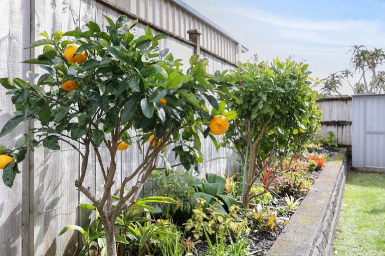 Photo of property in 111 Lake Panorama Drive, Henderson Valley, Auckland, 0612
