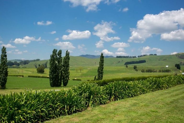 Photo of property in 269 Grice Road, Rotoorangi, Cambridge, 3495