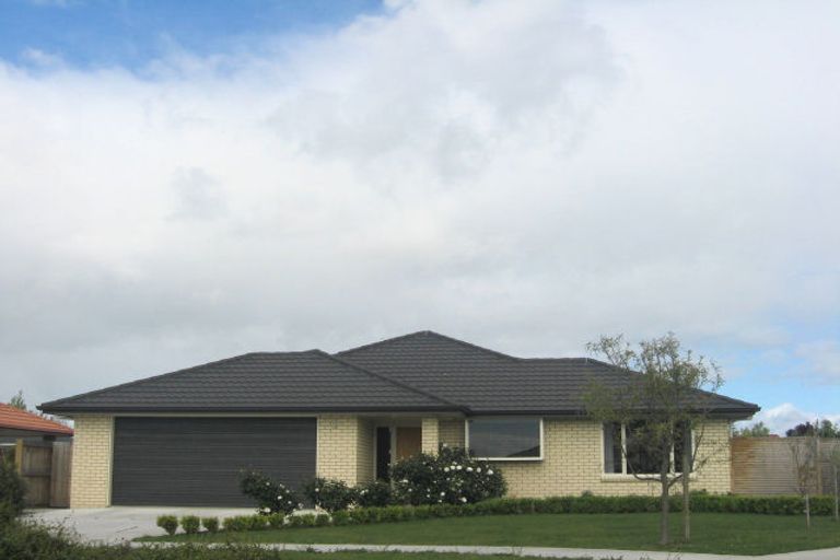 Photo of property in 22 Hilton Place, Blenheim, 7201