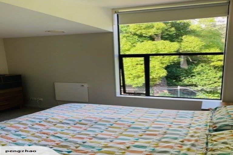 Photo of property in Nouvo Apartments, 21u6 Rugby Street, Mount Cook, Wellington, 6021