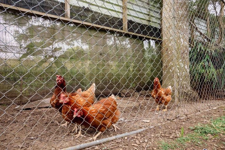Photo of property in 6863 State Highway 1, Pakaraka, Kaikohe, 0472
