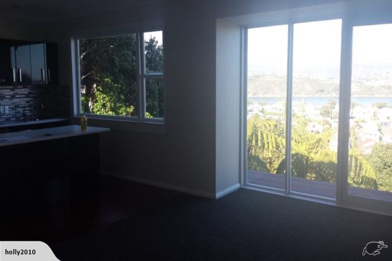 Photo of property in 93 Rakau Road, Hataitai, Wellington, 6021