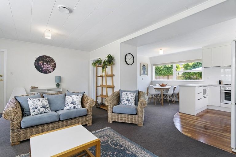 Photo of property in 1/32 Scannell Street, Taupo, 3330