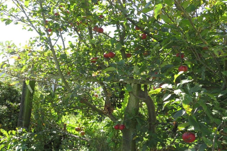 Photo of property in 44 Mahia Avenue, Wairoa, 4108