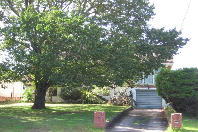 Photo of property in 151 Rathgar Road, Henderson, Auckland, 0610
