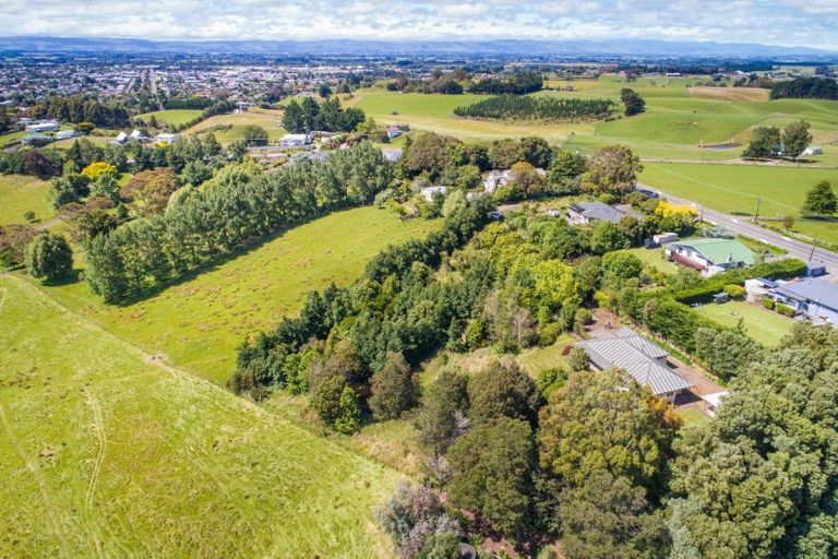 Photo of property in 82 Halcombe Road, Feilding, 4775