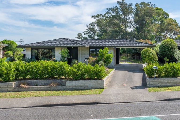 Photo of property in 173 Flaxmere Avenue, Flaxmere, Hastings, 4120