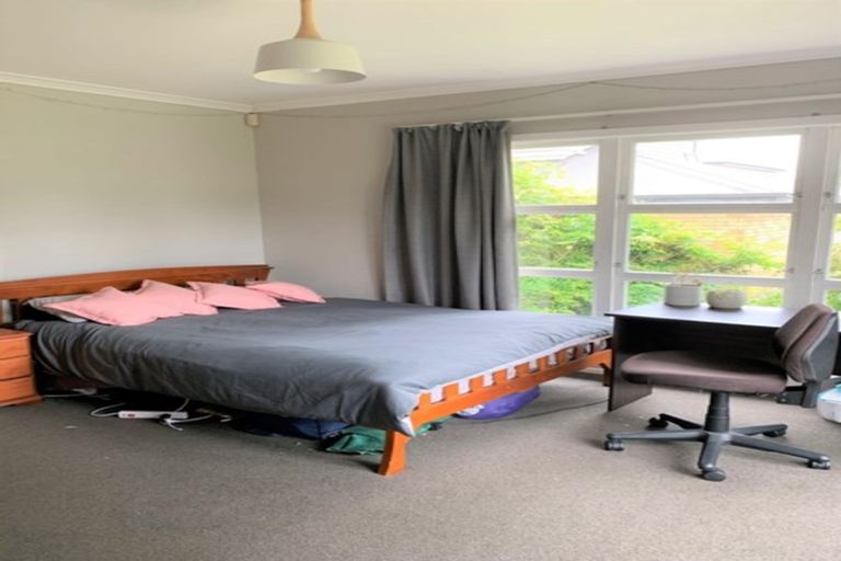 Photo of property in 215 Fox Street, Hamilton East, Hamilton, 3216