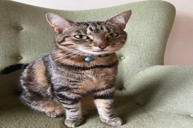 Photo of property in 50 Bronte Street, Nelson, 7010