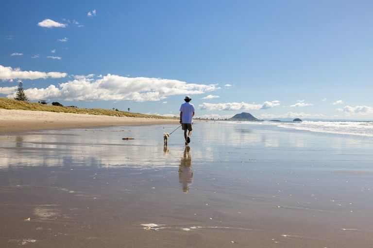 Photo of property in 226b Range Road, Papamoa Beach, Papamoa, 3118