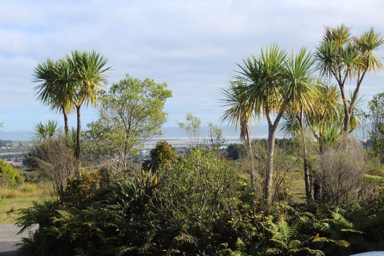 Photo of property in 132 Brickfield Road, Blue Spur, Hokitika, 7882