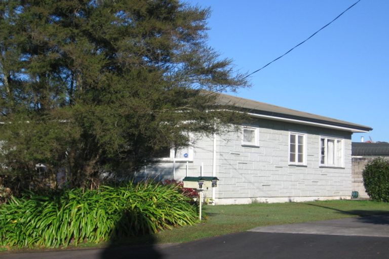 Photo of property in 20a Ranfurly Avenue, Fairfield, Hamilton, 3214