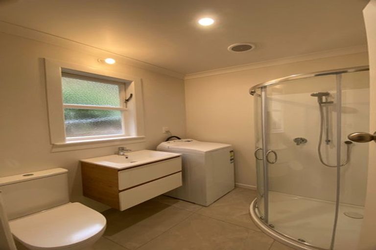 Photo of property in 167 The Ridgeway, Mornington, Wellington, 6021
