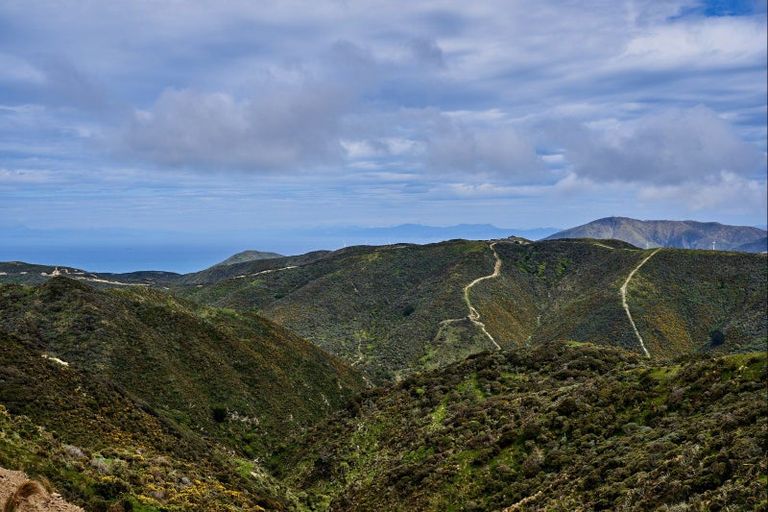 Photo of property in Long Gully, 380 Hawkins Hill Road, Brooklyn, Wellington, 6021