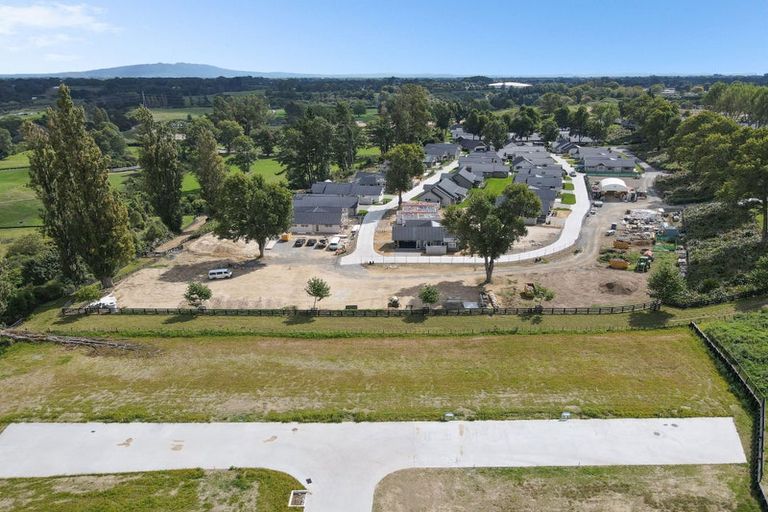 Photo of property in 14 Te Ia Terrace, Cambridge, 3434