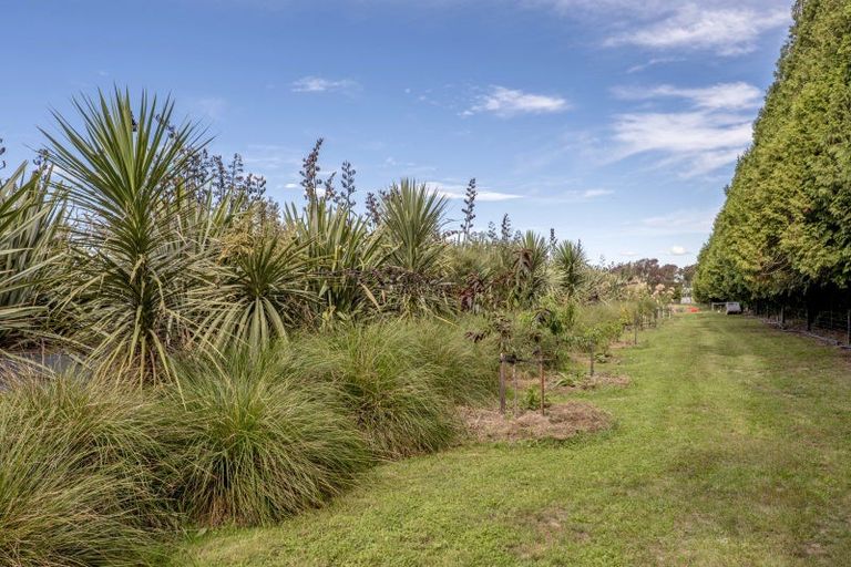 Photo of property in 2 Walford Way, Darfield, 7571