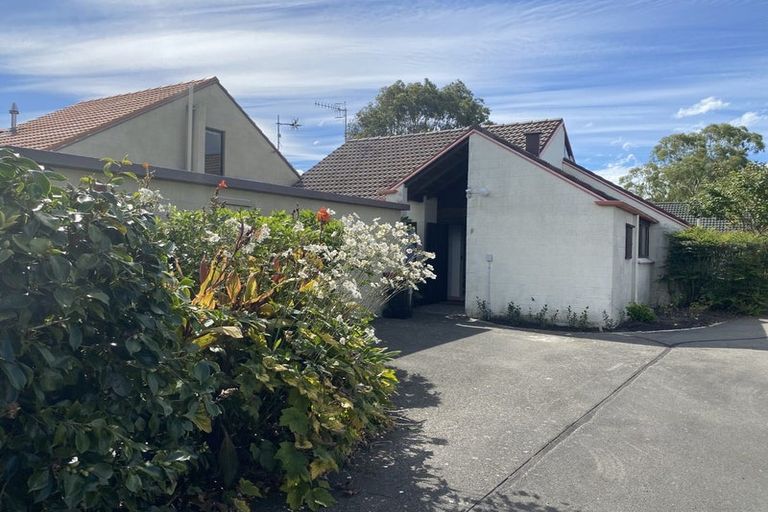 Photo of property in 910b Albert Street, Parkvale, Hastings, 4122