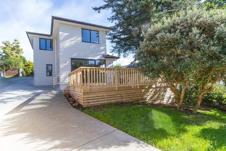 Photo of property in 39b Gilliam Street, New Lynn, Auckland, 0600