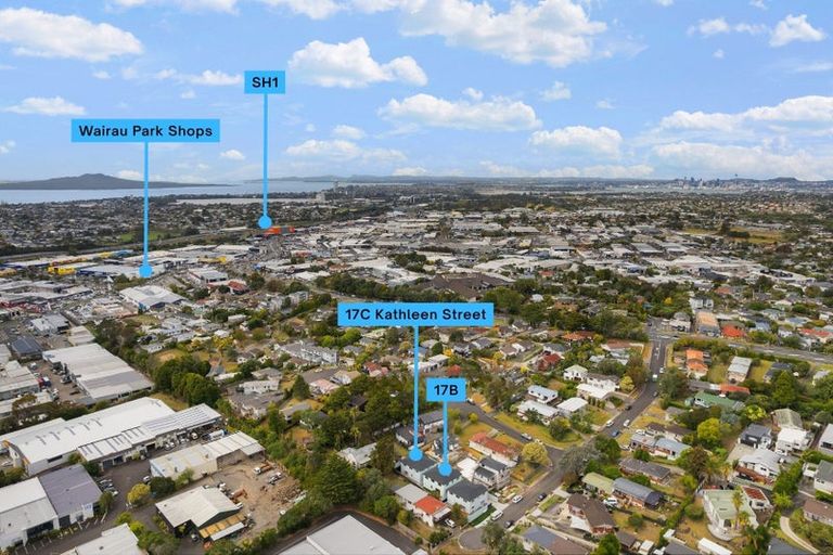 Photo of property in 17b Kathleen Street, Totara Vale, Auckland, 0627
