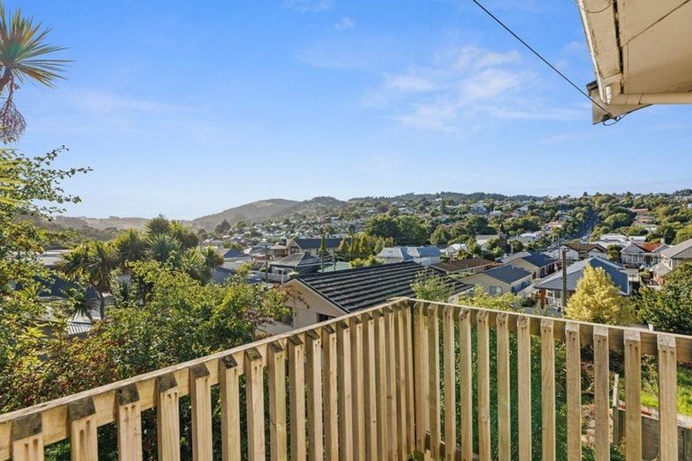 Photo of property in 51 Buccleugh Street, North East Valley, Dunedin, 9010