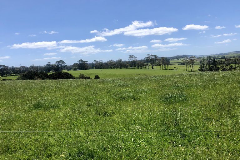 Photo of property in 398 Pungaere Road, Waipapa, Kerikeri, 0295