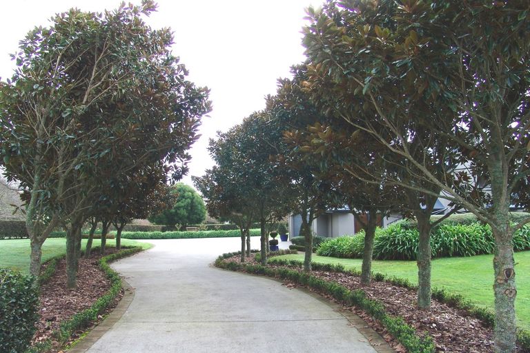 Photo of property in 121 Leger Grove, Te Awamutu, 3875