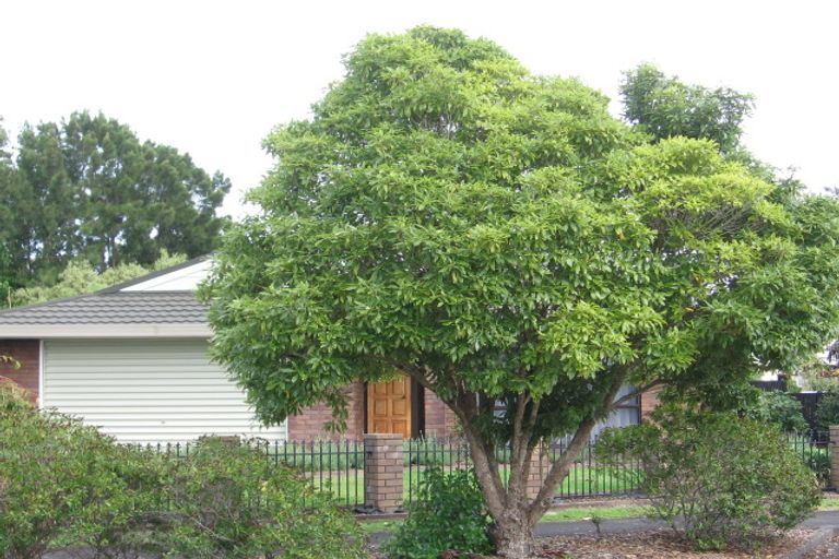 Photo of property in 10 Septimus Place, Henderson, Auckland, 0612