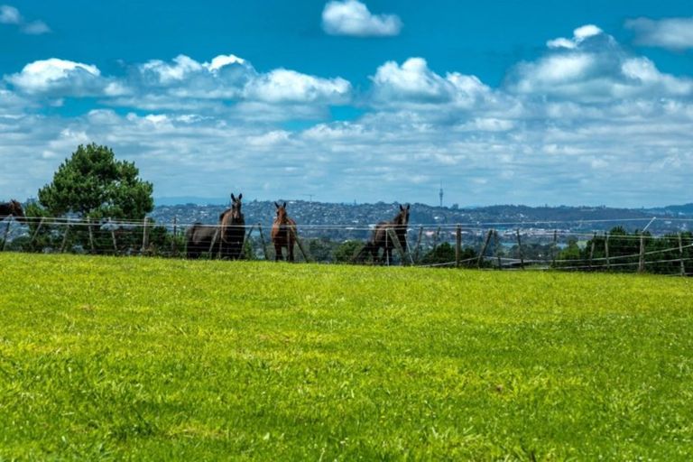 Photo of property in 5 Diamond Lane, Riverhead, 0793