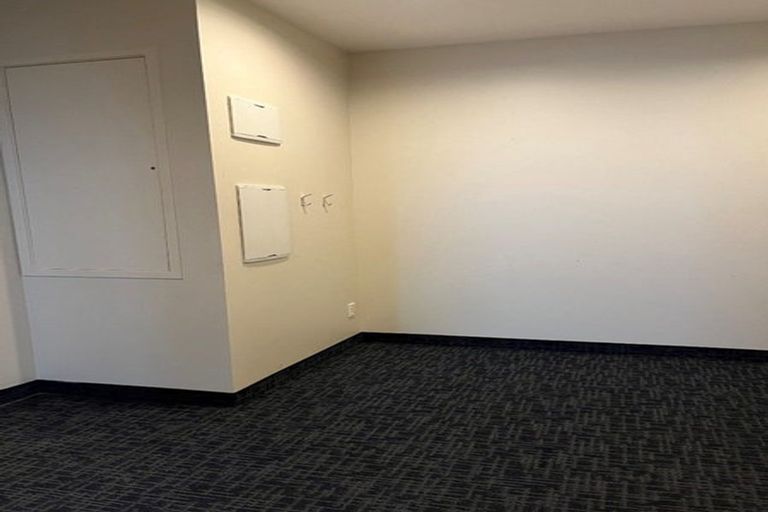 Photo of property in Hanson House, 27u2 Hanson Street, Mount Cook, Wellington, 6021