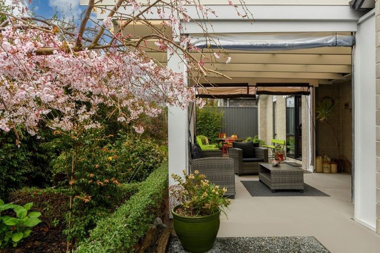 Photo of property in 120 Kennedy Road, Pyes Pa, Tauranga, 3112