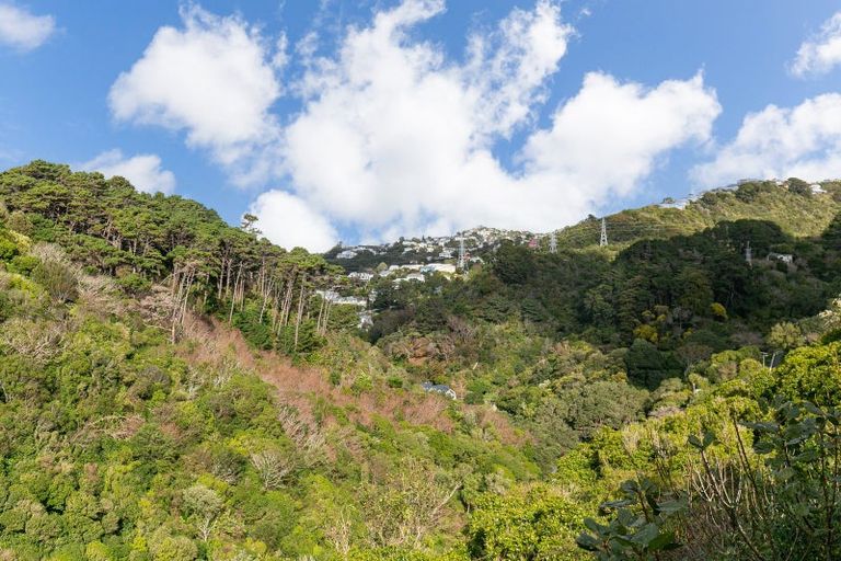 Photo of property in 97b Raroa Road, Aro Valley, Wellington, 6012