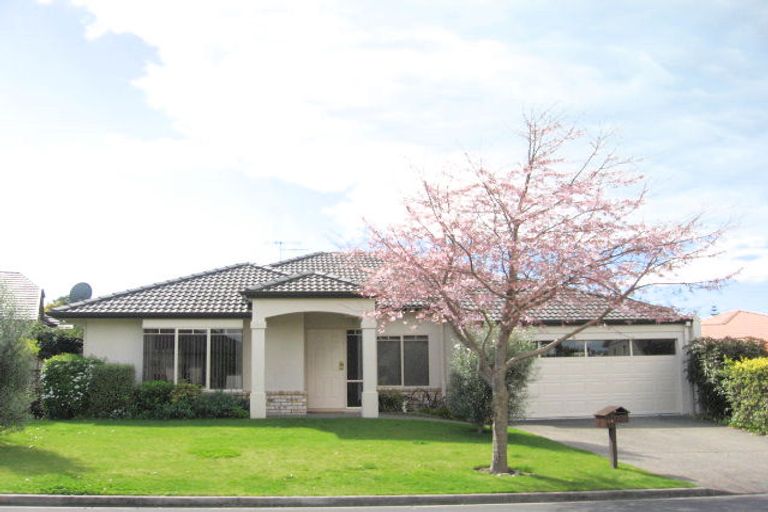 Photo of property in 16 Kinloch Drive, Bethlehem, Tauranga, 3110