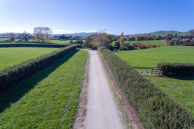 Photo of property in 342 Grice Road, Rotoorangi, Cambridge, 3495