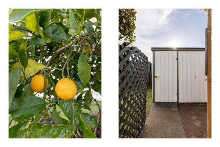 Photo of property in 117a Chapel Street, Otumoetai, Tauranga, 3110