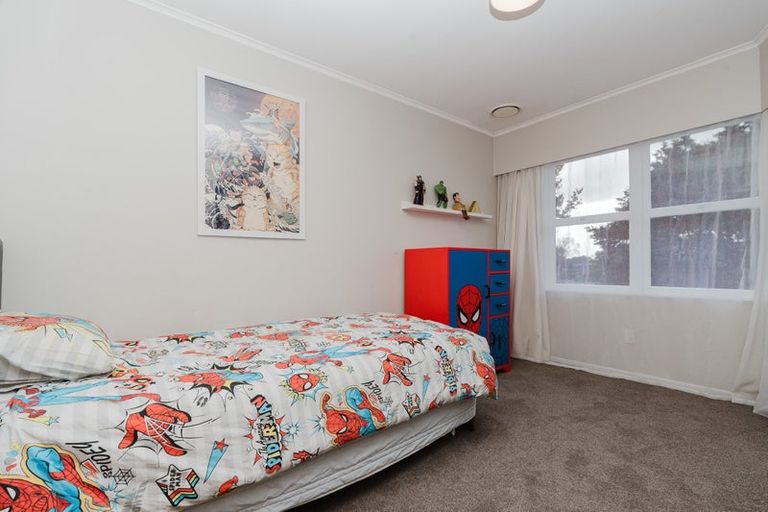 Photo of property in 14 Clark Place, Hillcrest, Hamilton, 3216