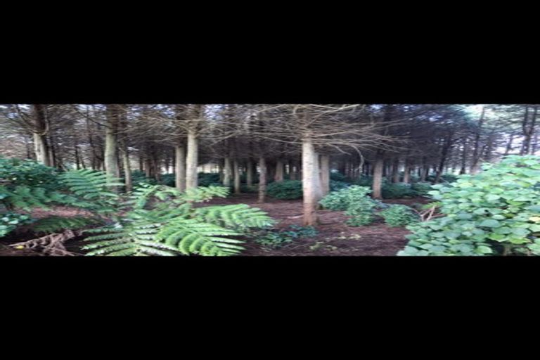 Photo of property in 79a Geraghty Maber Road, Tuakau, 2121