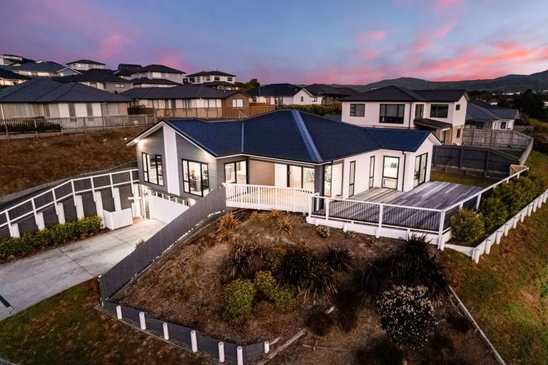 Photo of property in 117 John Burke Drive, Aotea, Porirua, 5024