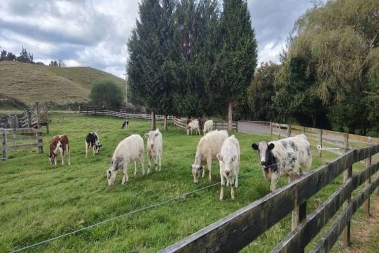 Photo of property in 1765 Tutukau Road, Ohakuri, Reporoa, 3083