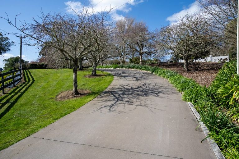 Photo of property in 80 Maungakawa Road, Cambridge, 3496