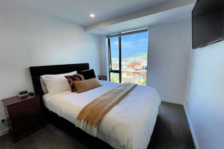 Photo of property in Vsp South, 1102/168 Victoria Street, Te Aro, Wellington, 6011