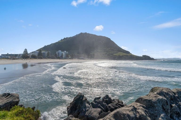 Photo of property in 35b Campbell Road, Mount Maunganui, 3116