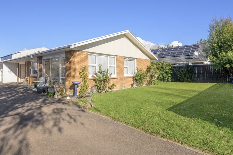 Photo of property in 64a Edgecumbe Road, Tauranga, 3110