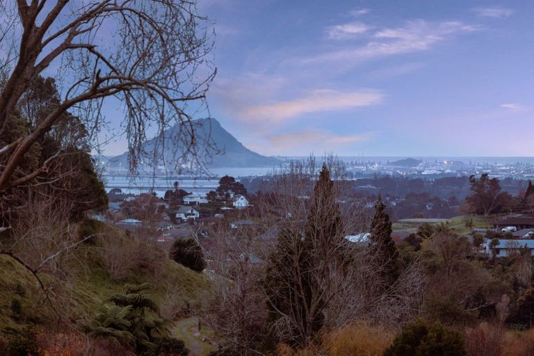 Photo of property in 3709l Kaitemako Road, Welcome Bay, Tauranga, 3175