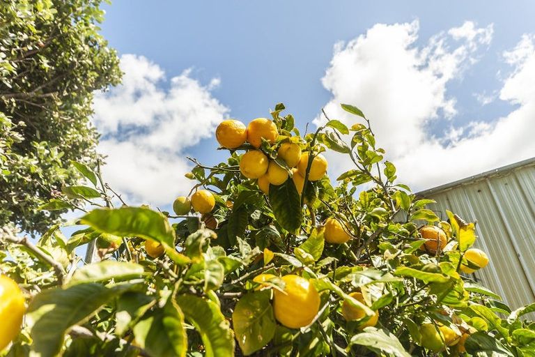 Photo of property in 8 Torridon Road, Miramar, Wellington, 6022