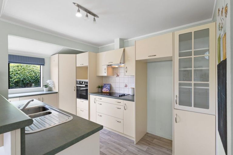 Photo of property in 19 Kingfisher Way, Te Kowhai, Hamilton, 3288