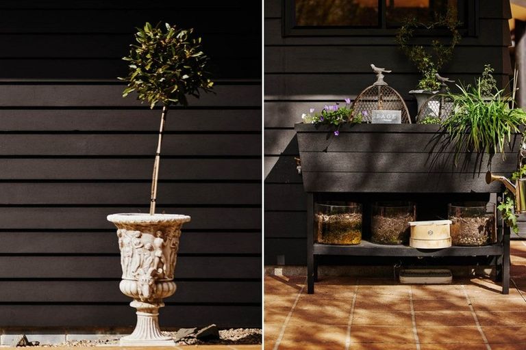 Photo of property in 7r Molloy Rise, Pyes Pa, Tauranga, 3112